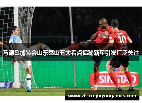 马德鲁加转会山东泰山五大看点揭秘新星引发广泛关注